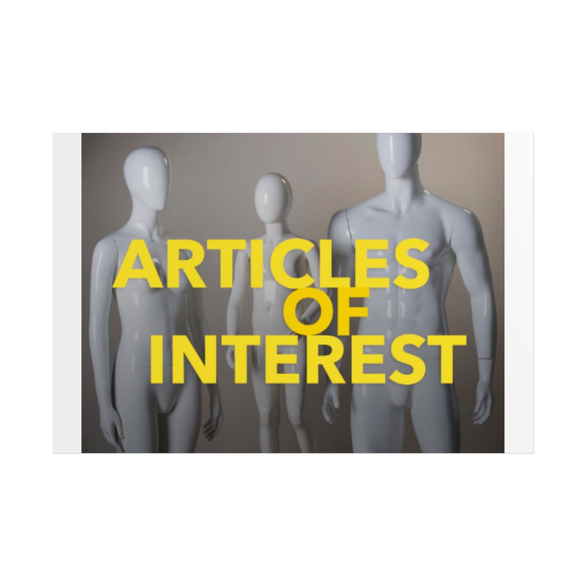 Articles of Interest Rolled Poster #2 - alternate angle 3, merchandise