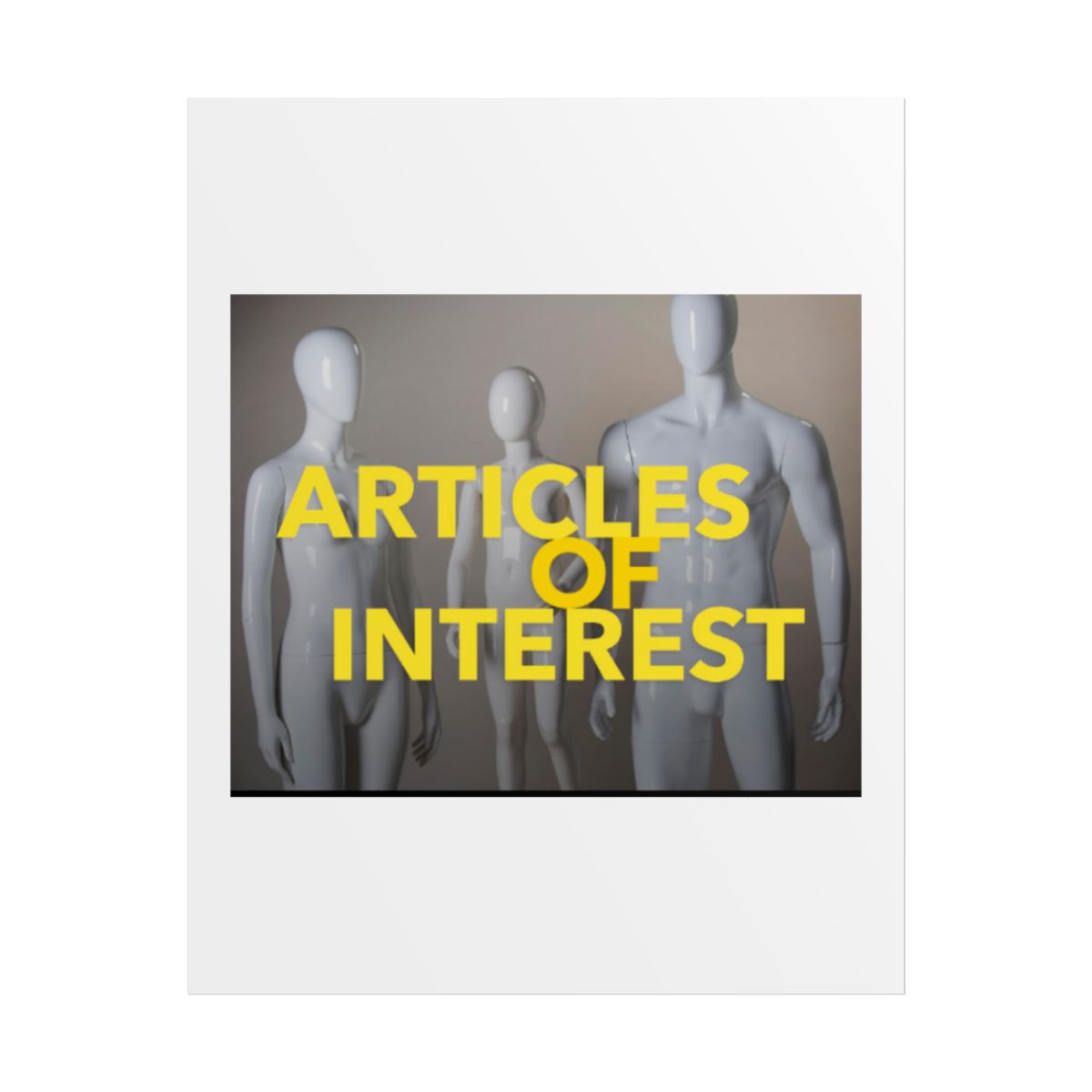 Articles of Interest Rolled Poster #2 - alternate angle 5, merchandise